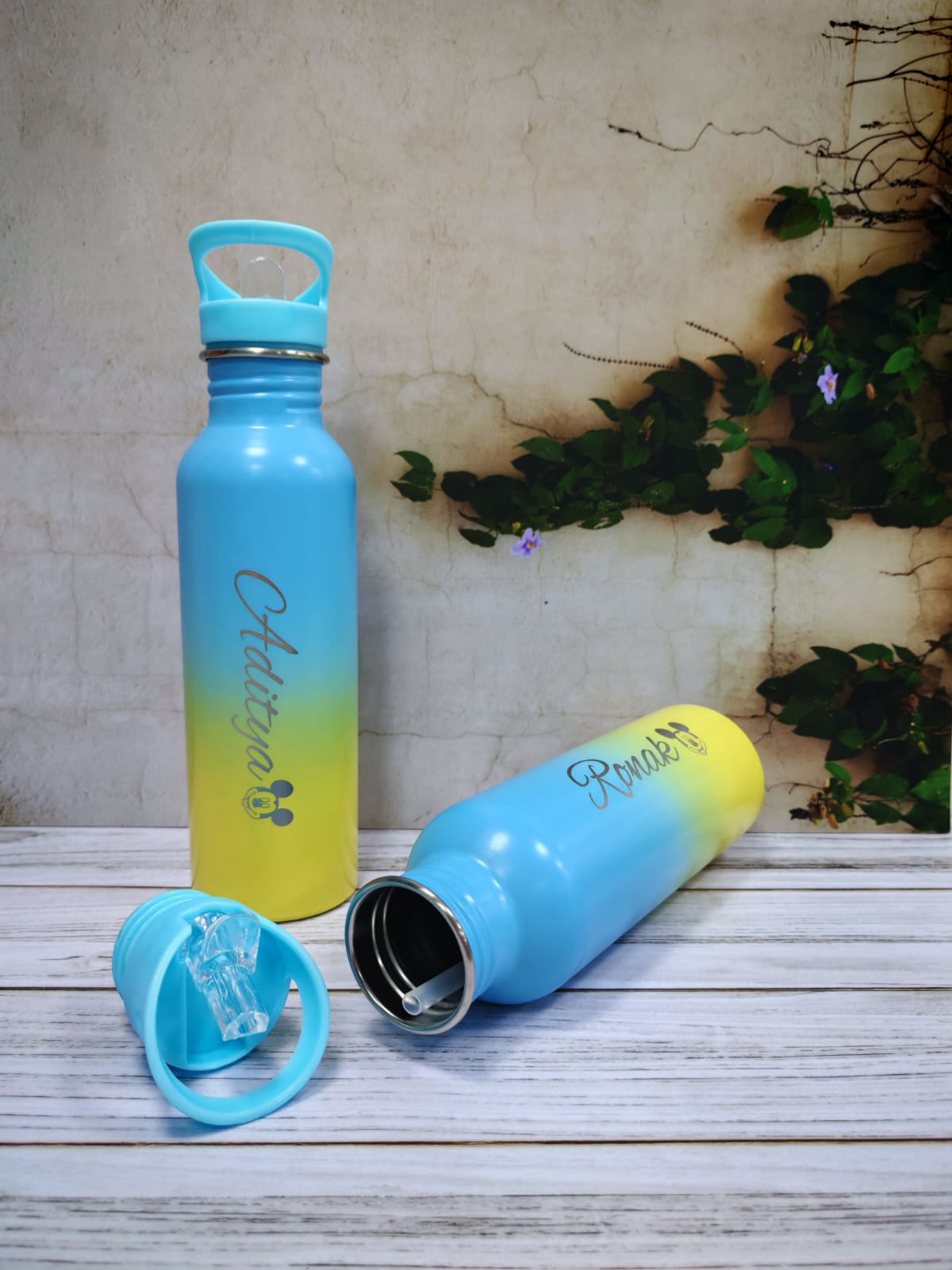Dual Water Bottle (Copy)