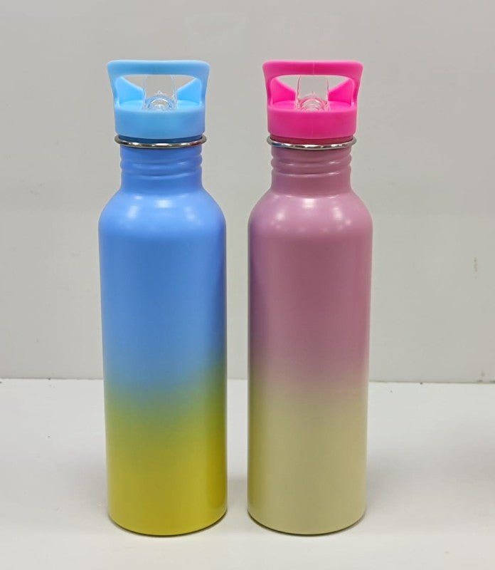 Dual Water Bottle (Copy)